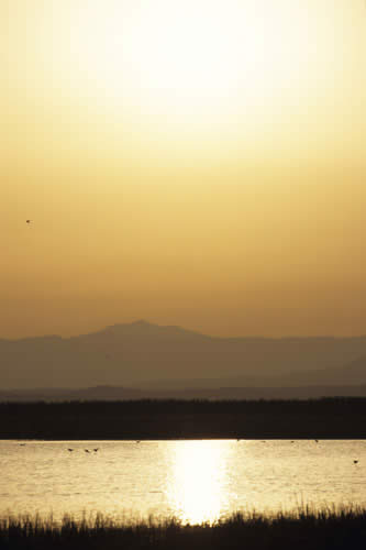 L'Amiata vista dal Lago Trasimeno